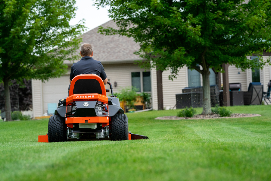 whats-my-grass-type.jpg whats-my-grass-type.jpg